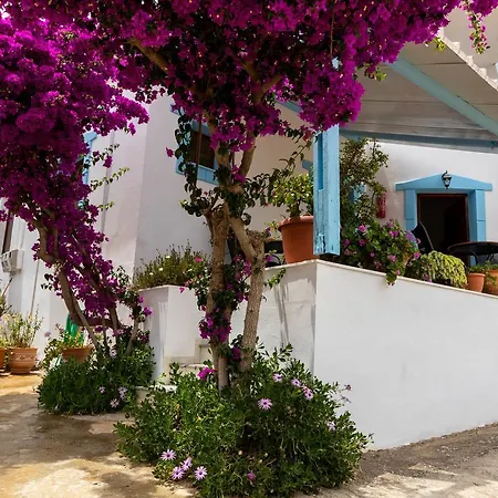 Casa de hóspedes Jodi's 3*