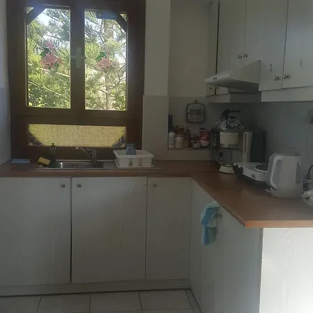 Jodi's 3* Пицидия